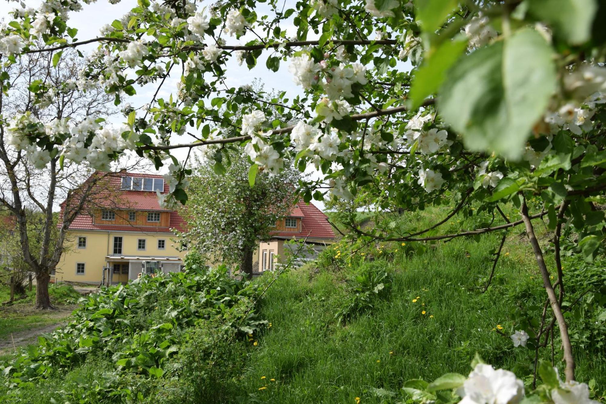 Adlerhof Apartamento Bahretal Exterior foto